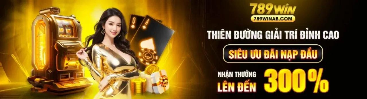 Hình ảnh chính về ưu đãi V999