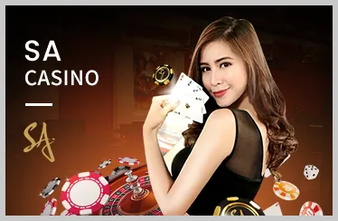 Chương trình VIP v999
